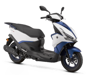 RKS DES 125