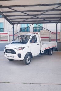 Relive Light Truck