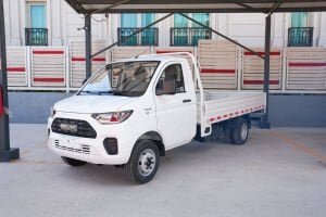 Relive Light Truck