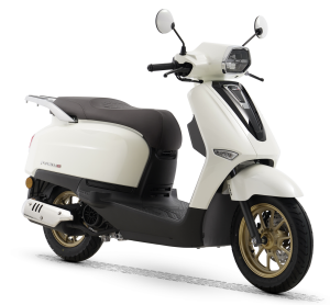 RKS Parmida 50