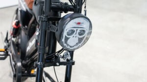 Mandrill Ultra