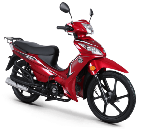 Kuba Ege 50