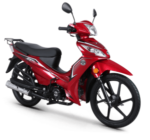 Kuba Ege 50