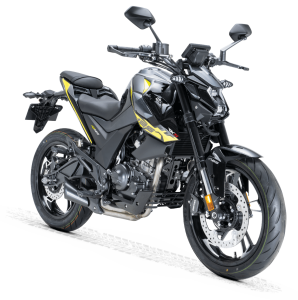 RKS RZ 125