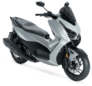 RKS RZ250S