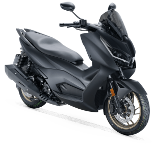 RKS RZ250S