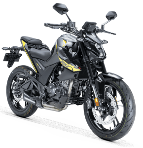 RKS RZ 150 Siyah